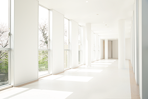 キャンパスがキレイ！